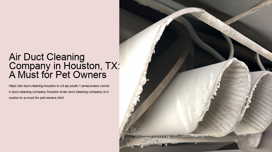 Air Duct Cleaning Company in Houston, TX: A Must for Pet Owners