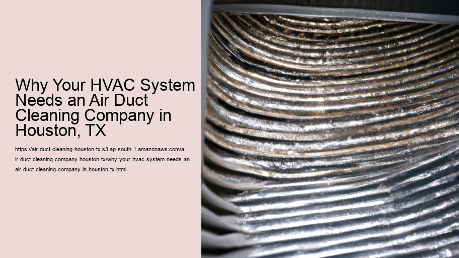 Why Your HVAC System Needs an Air Duct Cleaning Company in Houston, TX